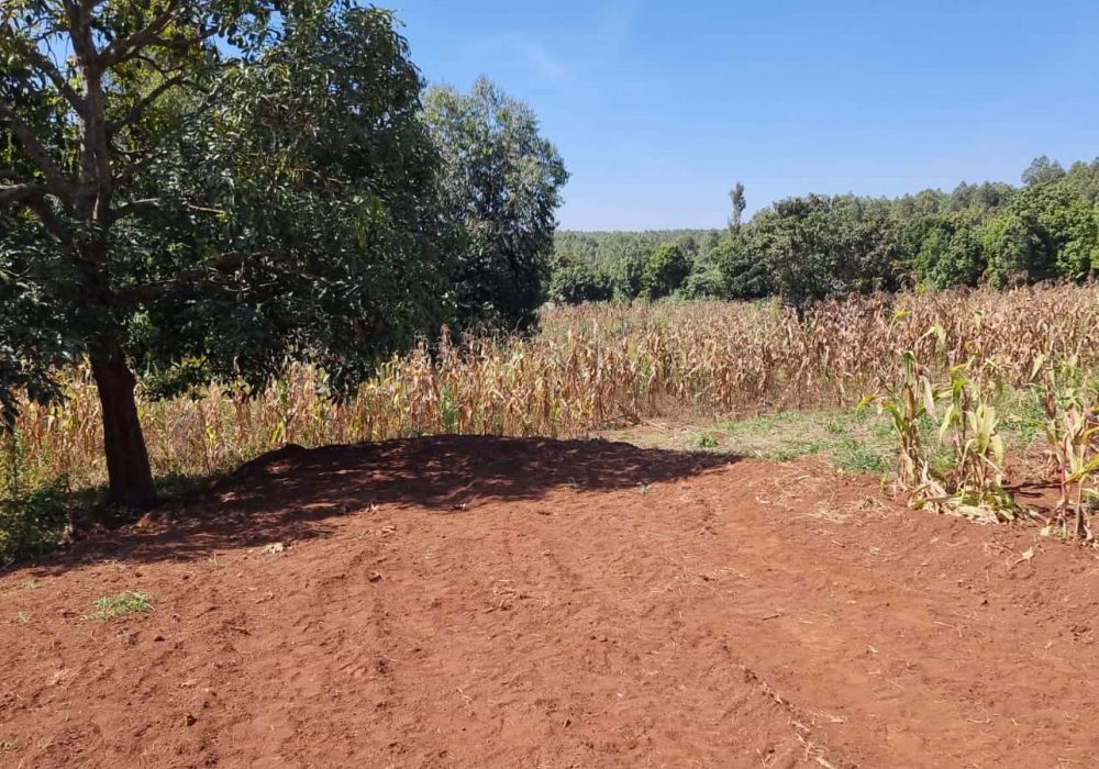 affordable plots for sale in Kikuyu
