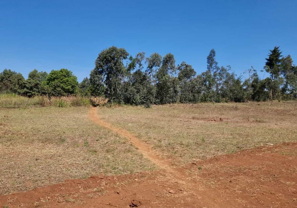 affordable plots for sale in Kikuyu